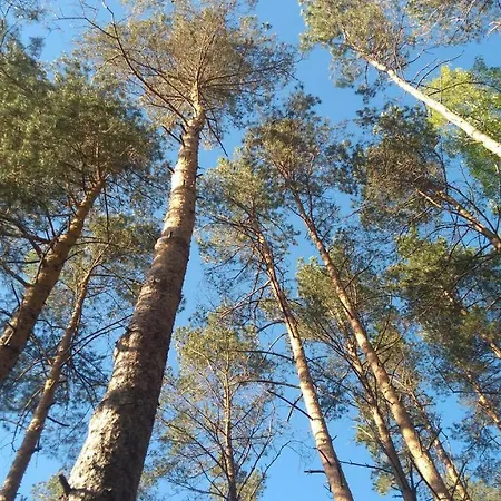 Rokitki * Rokity (Pomerania)