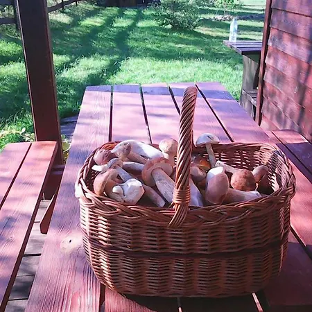 Rokitki Prázdninový dům Rokity (Pomerania)
