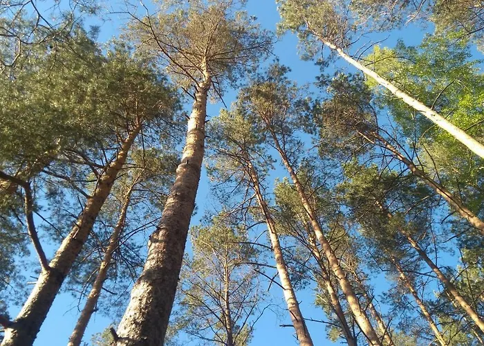 Rokitki * Rokity (Pomerania)