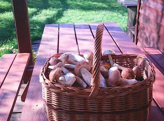 Rokitki Nyaraló Rokity (Pomerania)